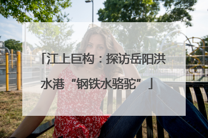 江上巨构：探访岳阳洪水港“钢铁水骆驼”