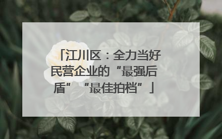 江川区：全力当好民营企业的“最强后盾”“最佳拍档”