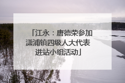 江永：唐德荣参加潇浦镇四级人大代表进站小组活动