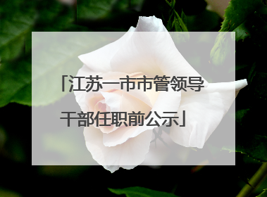 江苏一市市管领导干部任职前公示