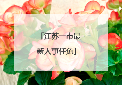 江苏一市最新人事任免