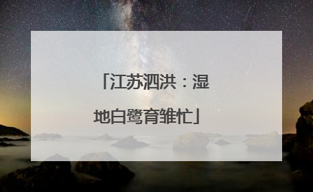 江苏泗洪：湿地白鹭育雏忙