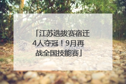 江苏选拔赛宿迁4人夺冠！9月再战全国技能赛