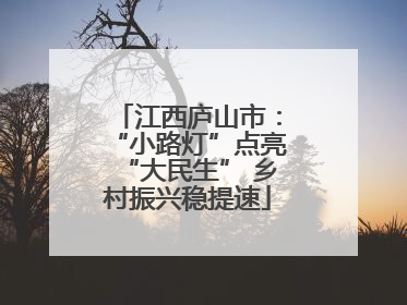 江西庐山市：“小路灯”点亮“大民生” 乡村振兴稳提速