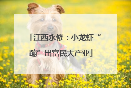 江西永修：小龙虾“蹦”出富民大产业