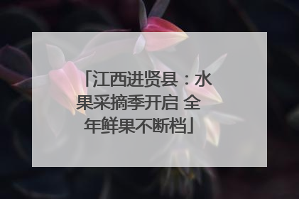 江西进贤县：水果采摘季开启 全年鲜果不断档