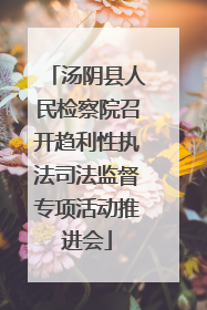 汤阴县人民检察院召开趋利性执法司法监督专项活动推进会
