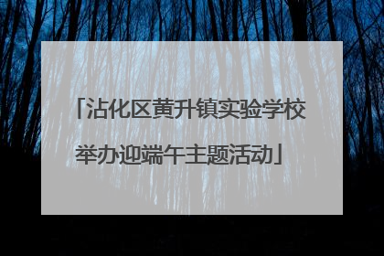 沾化区黄升镇实验学校举办迎端午主题活动