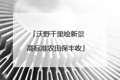 沃野千里绘新景 高标准农田保丰收