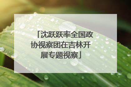 沈跃跃率全国政协视察团在吉林开展专题视察