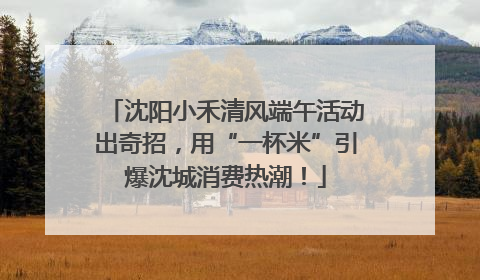 沈阳小禾清风端午活动出奇招，用“一杯米”引爆沈城消费热潮！
