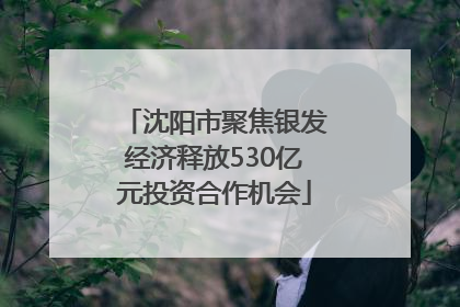 沈阳市聚焦银发经济释放530亿元投资合作机会