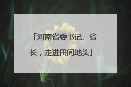 河南省委书记、省长，走进田间地头