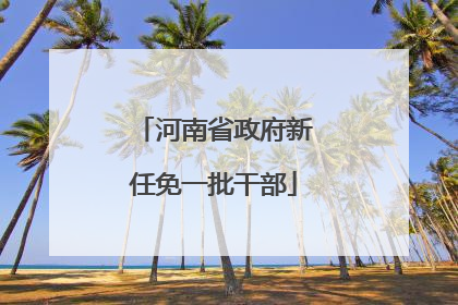 河南省政府新任免一批干部