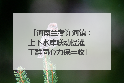 河南兰考许河镇：上下水库联动提灌 干群同心力保丰收