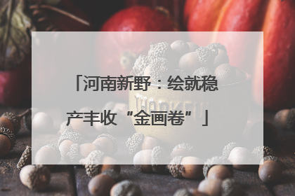 河南新野：绘就稳产丰收“金画卷”