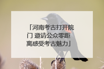 河南考古打开院门 邀请公众零距离感受考古魅力