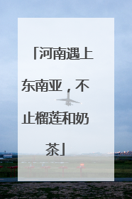 河南遇上东南亚，不止榴莲和奶茶