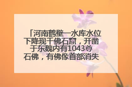 河南鹤壁一水库水位下降现千佛石窟，开凿于东魏内有1043尊石佛，有佛像首部消失，水库管理方回应