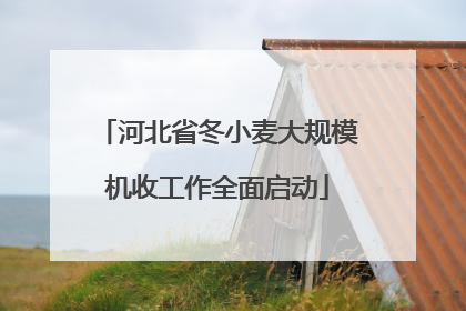 河北省冬小麦大规模机收工作全面启动