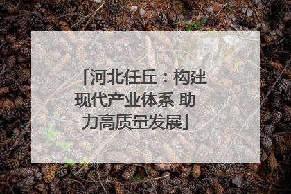 河北任丘：构建现代产业体系 助力高质量发展