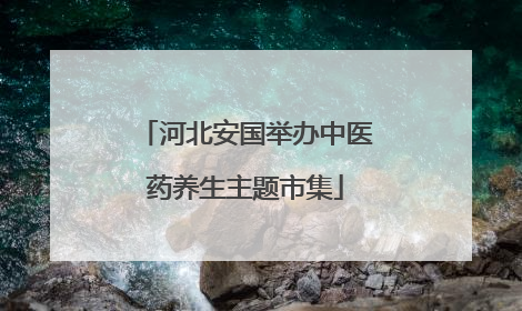 河北安国举办中医药养生主题市集