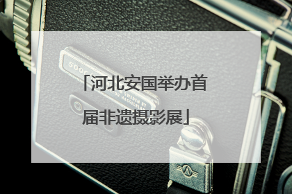 河北安国举办首届非遗摄影展