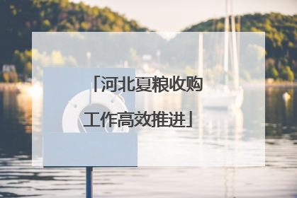河北夏粮收购工作高效推进