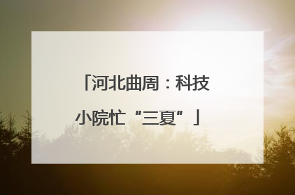 河北曲周：科技小院忙“三夏”