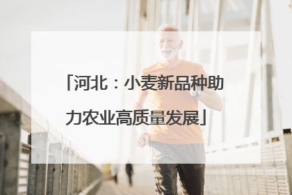 河北：小麦新品种助力农业高质量发展