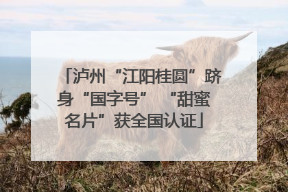 泸州“江阳桂圆”跻身“国字号” “甜蜜名片”获全国认证
