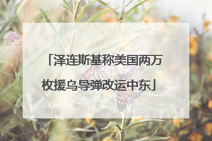 泽连斯基称美国两万枚援乌导弹改运中东