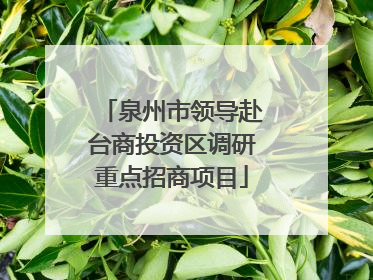 泉州市领导赴台商投资区调研重点招商项目