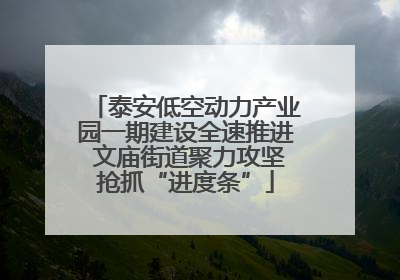 泰安低空动力产业园一期建设全速推进 文庙街道聚力攻坚抢抓“进度条”