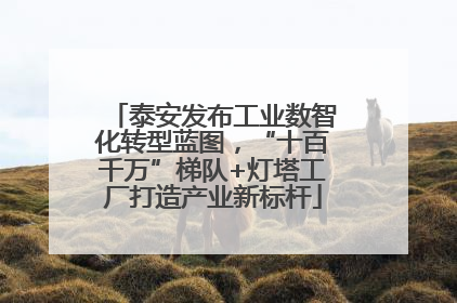 泰安发布工业数智化转型蓝图，“十百千万”梯队+灯塔工厂打造产业新标杆