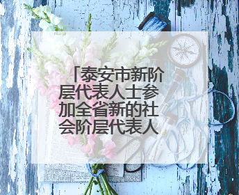 泰安市新阶层代表人士参加全省新的社会阶层代表人士培训班