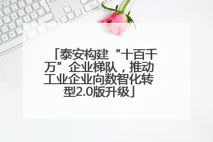 泰安构建“十百千万”企业梯队，推动工业企业向数智化转型2.0版升级