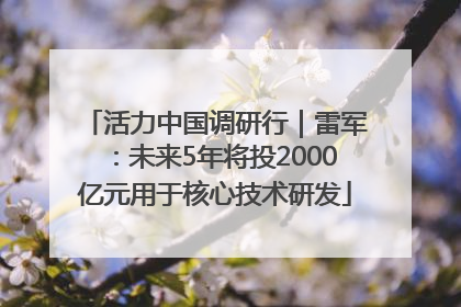 活力中国调研行｜雷军：未来5年将投2000亿元用于核心技术研发