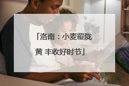 洛南：小麦覆陇黄 丰收好时节
