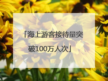 海上游客接待量突破100万人次