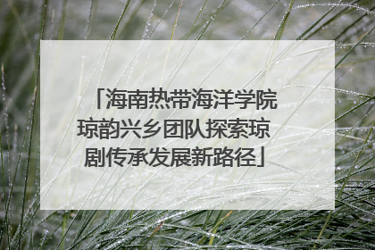 海南热带海洋学院琼韵兴乡团队探索琼剧传承发展新路径