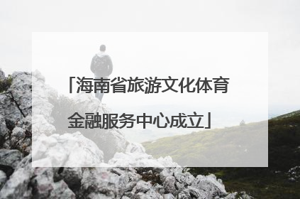 海南省旅游文化体育金融服务中心成立