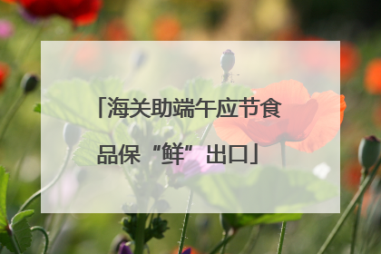 海关助端午应节食品保“鲜”出口