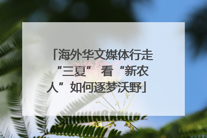 海外华文媒体行走“三夏” 看“新农人”如何逐梦沃野