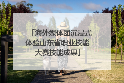 海外媒体团沉浸式体验山东省职业技能大赛技能成果