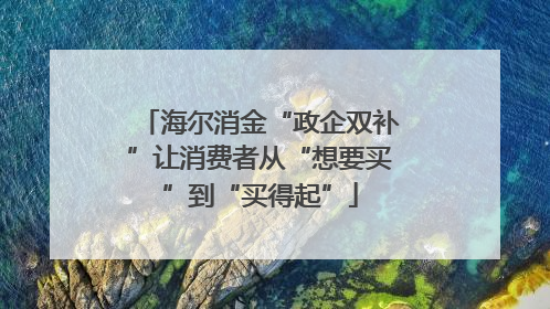 海尔消金“政企双补”让消费者从“想要买”到“买得起”