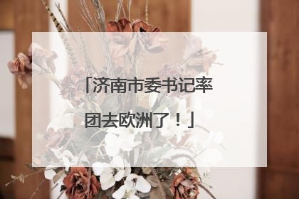 济南市委书记率团去欧洲了！