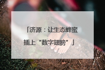 济源：让生态蜂蜜插上“数字翅膀”
