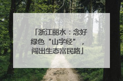浙江丽水：念好绿色“山字经”，闯出生态富民路