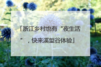 浙江乡村也有“夜生活”，快来溪望谷体验